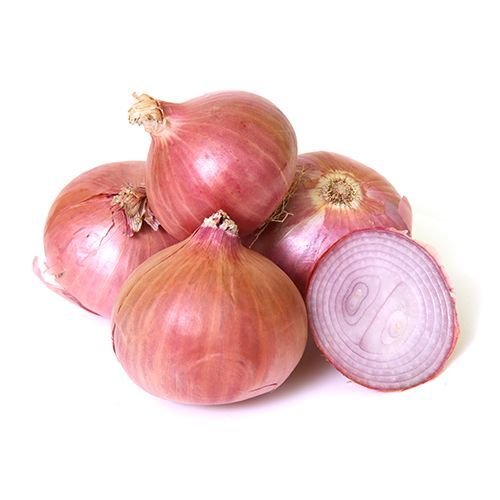 Onion