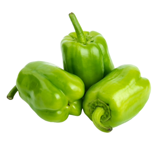 Capsicum
