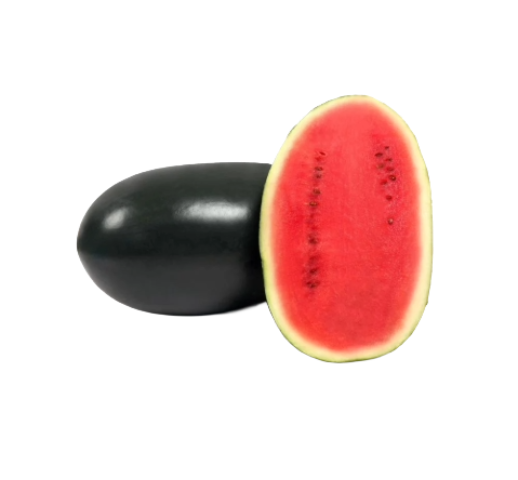 Kiran Watermelon
