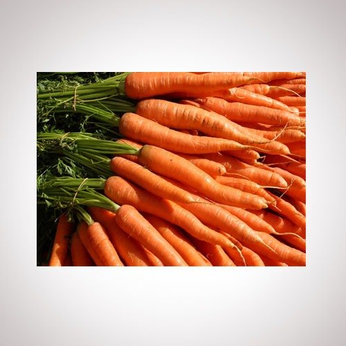 Vattavada Carrot